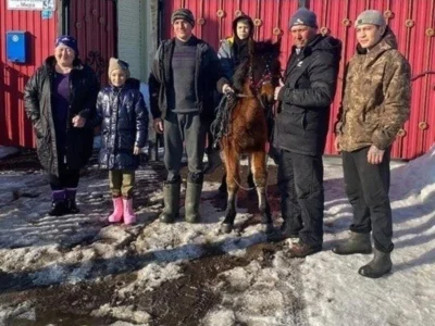 Подростку-всаднику на быке в Башкирии подарили жеребенка