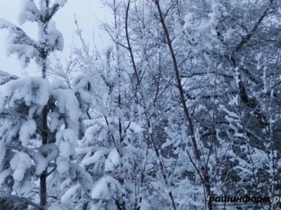 Жительница Башкирии едва не погибла в зимнем лесу