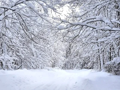 Синоптики дали прогноз погоды на последние дни зимы