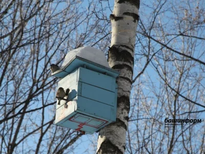 Жителей Башкирии ожидают температурные качели от -23 до +4 градусов.