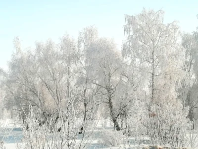 В Башкирии ожидается морозная и снежная погода